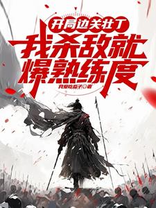 开局边关壮丁从箭术天赋开始